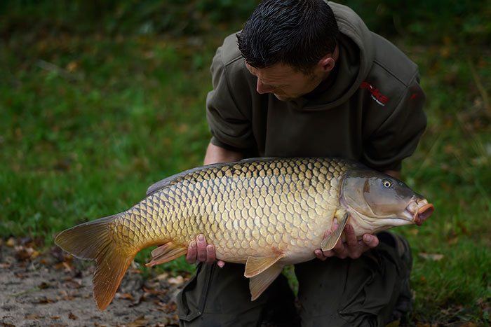 Vage achtergrond waardoor het onderwerp eruit springt.