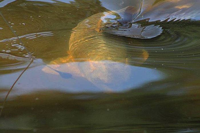 Verkassen is in het voorjaar een belangrijk wapen om te voorkomen dat je blankt.