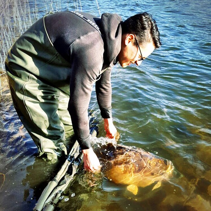 Een grote voorjaarskarper die gevangen werd bij een luchtdruk waarde van 1017.