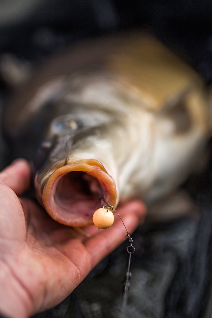 Ook met een Choddie is prima over een voerbed van Krill Micromass te vissen.