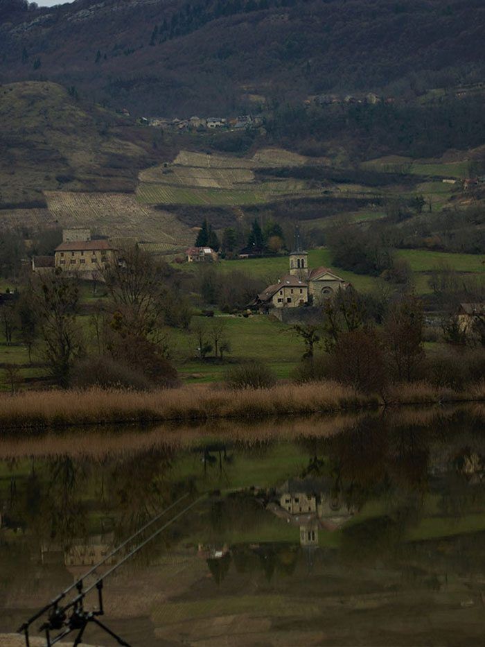 rex-van-puffelen-blog-11