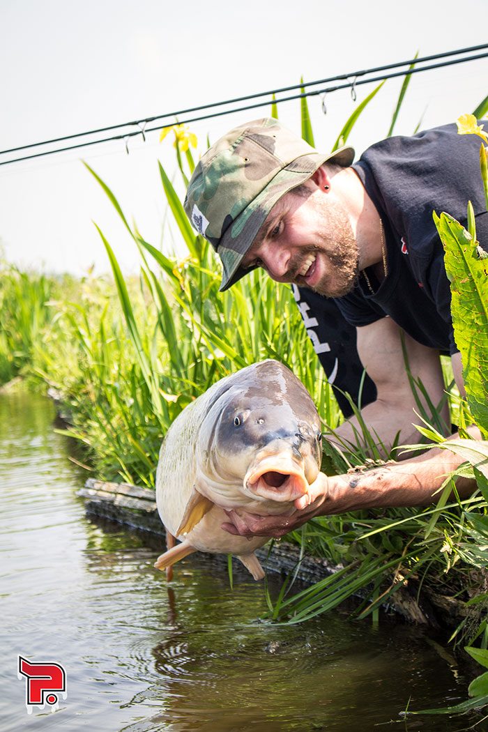 Teamlid Mark Witte met een polderbak, die de voerplek met Chopz niet kon weerstaan!