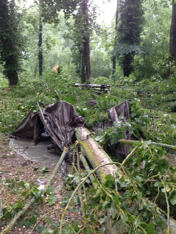 boom-omgevallen-karper-crash-2