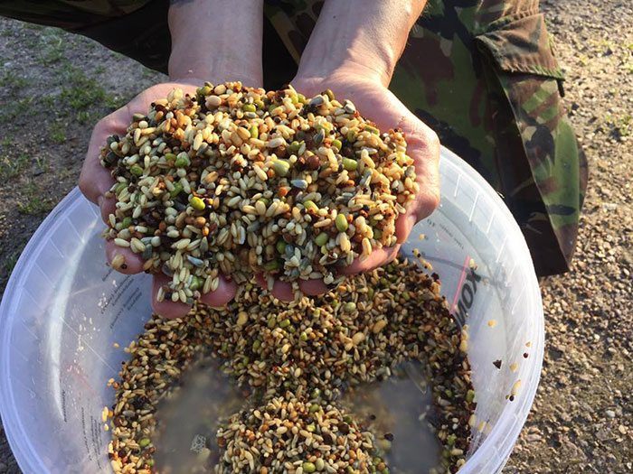 Voor een prijs van rond de ?2,50- per kg krijg je goed klaargemaakt partikels, ideaal!