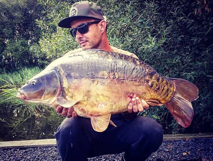 Henk-Verhoeven-carplantis