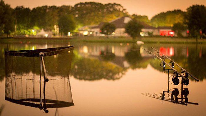 Deze foto zou ook zomaar 'Foto van de Week' kunnen zijn. Een zeer strakke plaat van Marco!