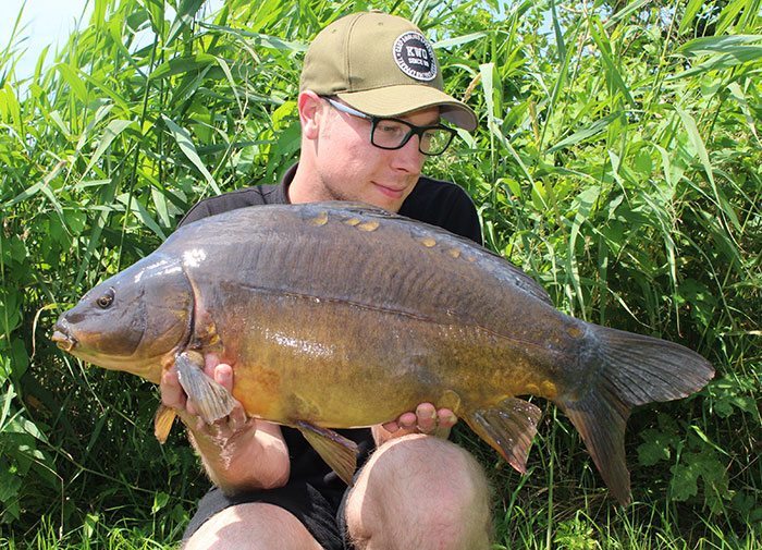 thimon-dokter-zomer-karper