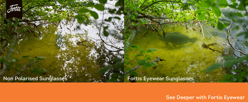 Foto: Fortis Eyewear