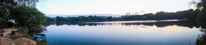 taillis-des-landes-kwo-btw-revealed-jordyopthof62