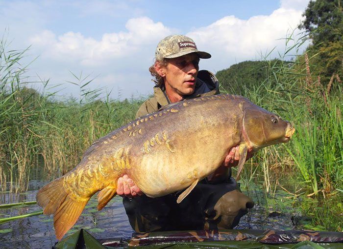 bas-de-vries-najaar-2