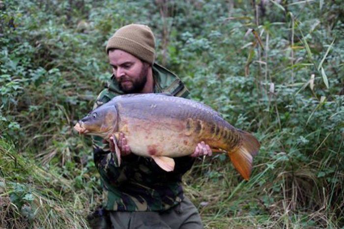 cc-moore-heattreatmentvisvoorgio