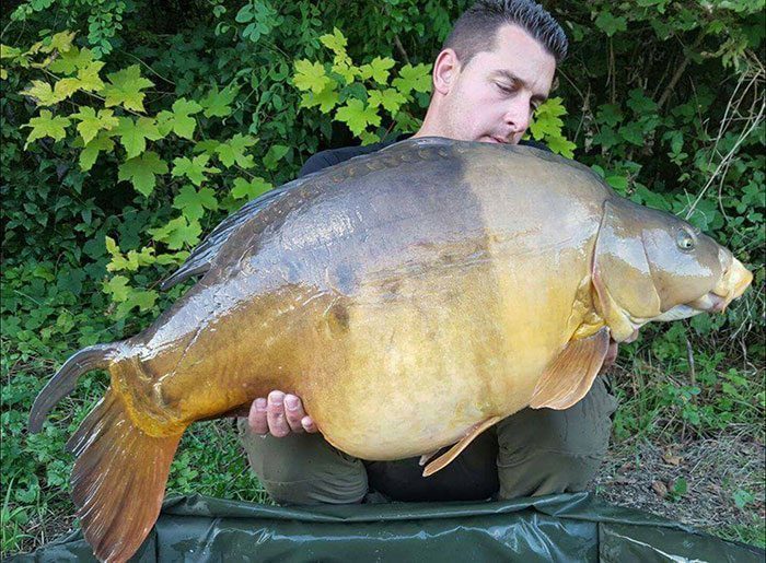 Jan Zwanenberg, de man achter Scale Baits, heeft een waanzinnige Franse trip achter de rug. Tijdens een actieve 'hit & run' sessie pakte hij samen met z'n maat meerdere bakken. Deze veertiger was 