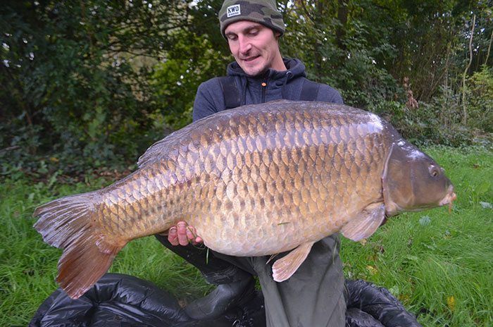 xander-de-krone-frankrijk-24kg