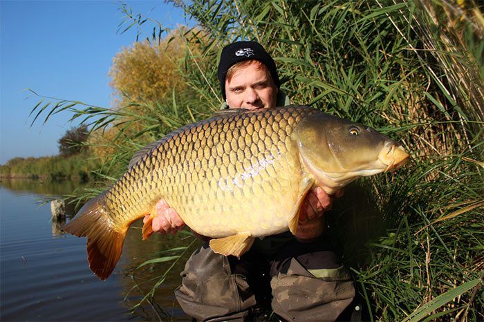 Een heerlijke oktoberkarper van The Secret River.