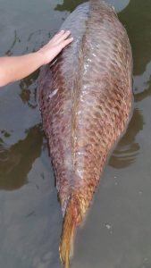 rick-bongers-rick-het-is-afgelopen