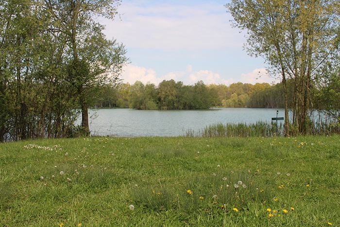 btw-revealed-la-carriere-des-grands-pres3