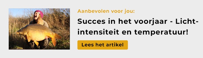 Link to community Succes in het voorjaar