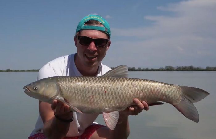 In Pursuit of Carpiness 2 – Deel 2