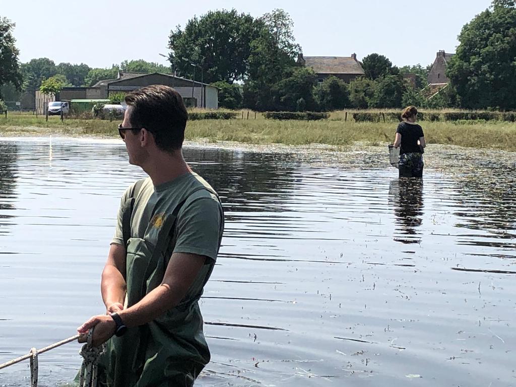 Vis zoeken na overstromingen