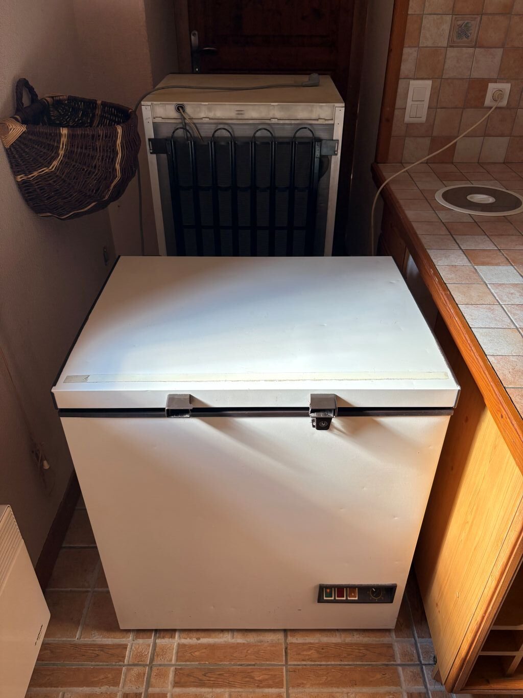 The Carp Specialist - Etang de Chigy