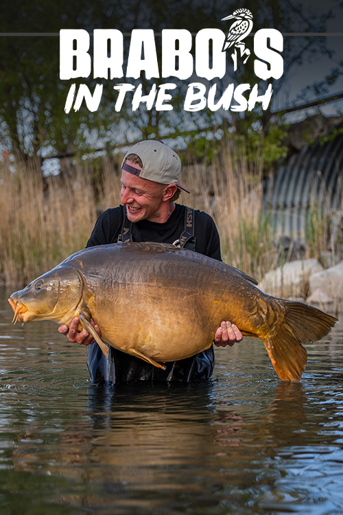 https://cdn01.kwo.nl/2026/08/Brabos-in-the-Bush-video-cover-1.jpg