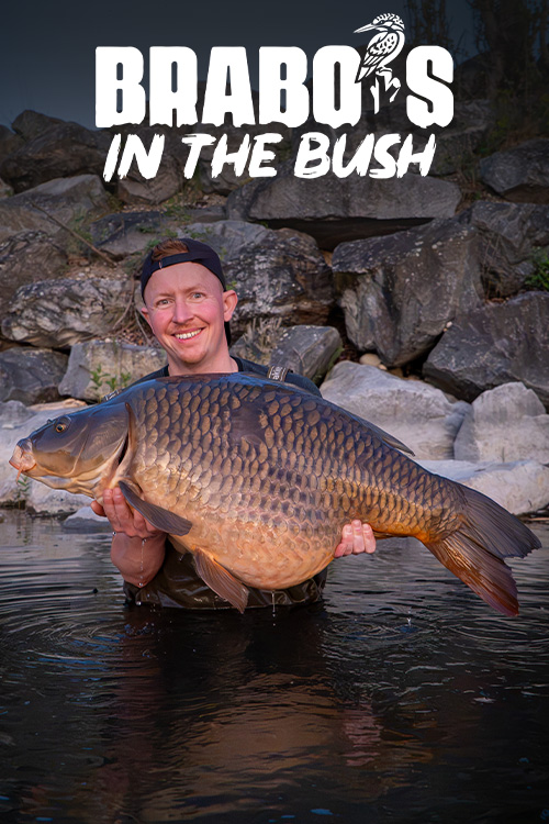 https://cdn01.kwo.nl/2026/08/Brabos-in-the-Bush-video-cover-2.jpg